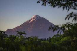 New Zealand 2025 (2 group) (34/84)